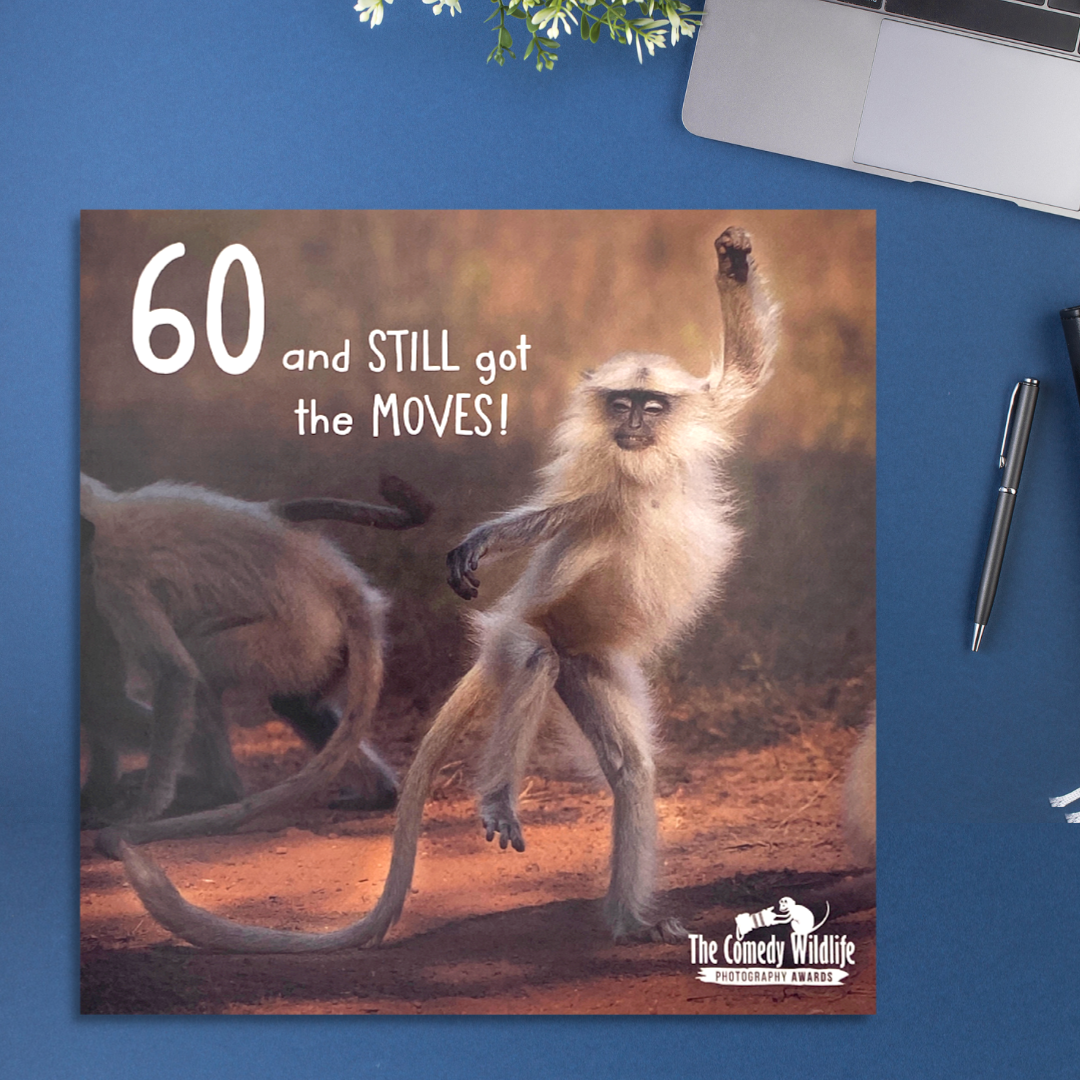 60th Birthday Card - And Still Got The Moves!