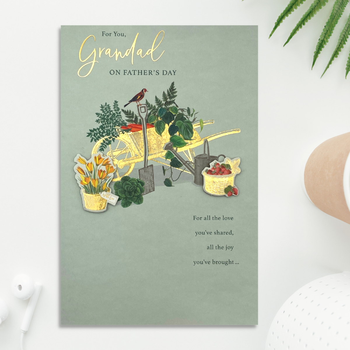 Grandad Father's Day Card - RHS For You