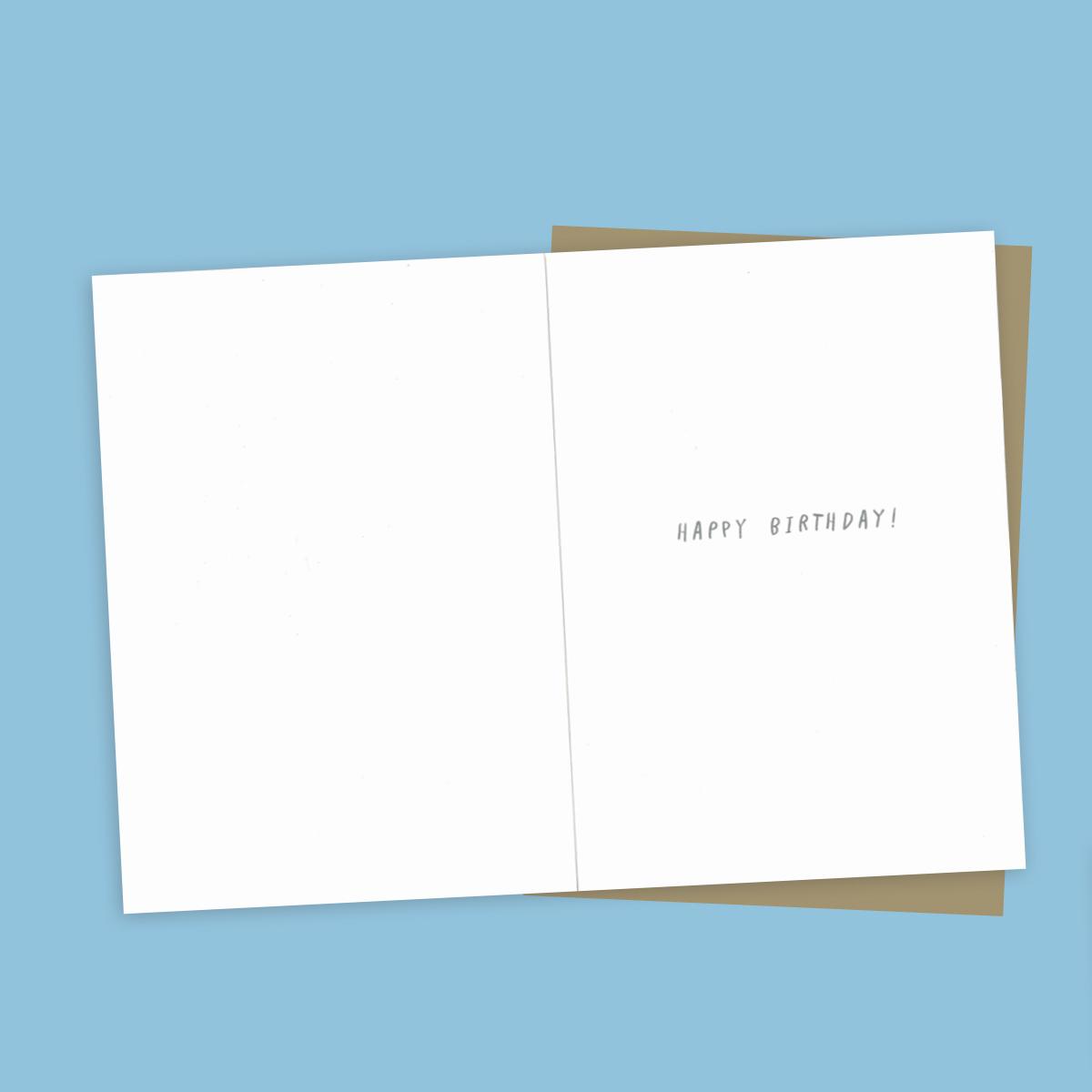 Inside Image Showing Layout And Printed Insert