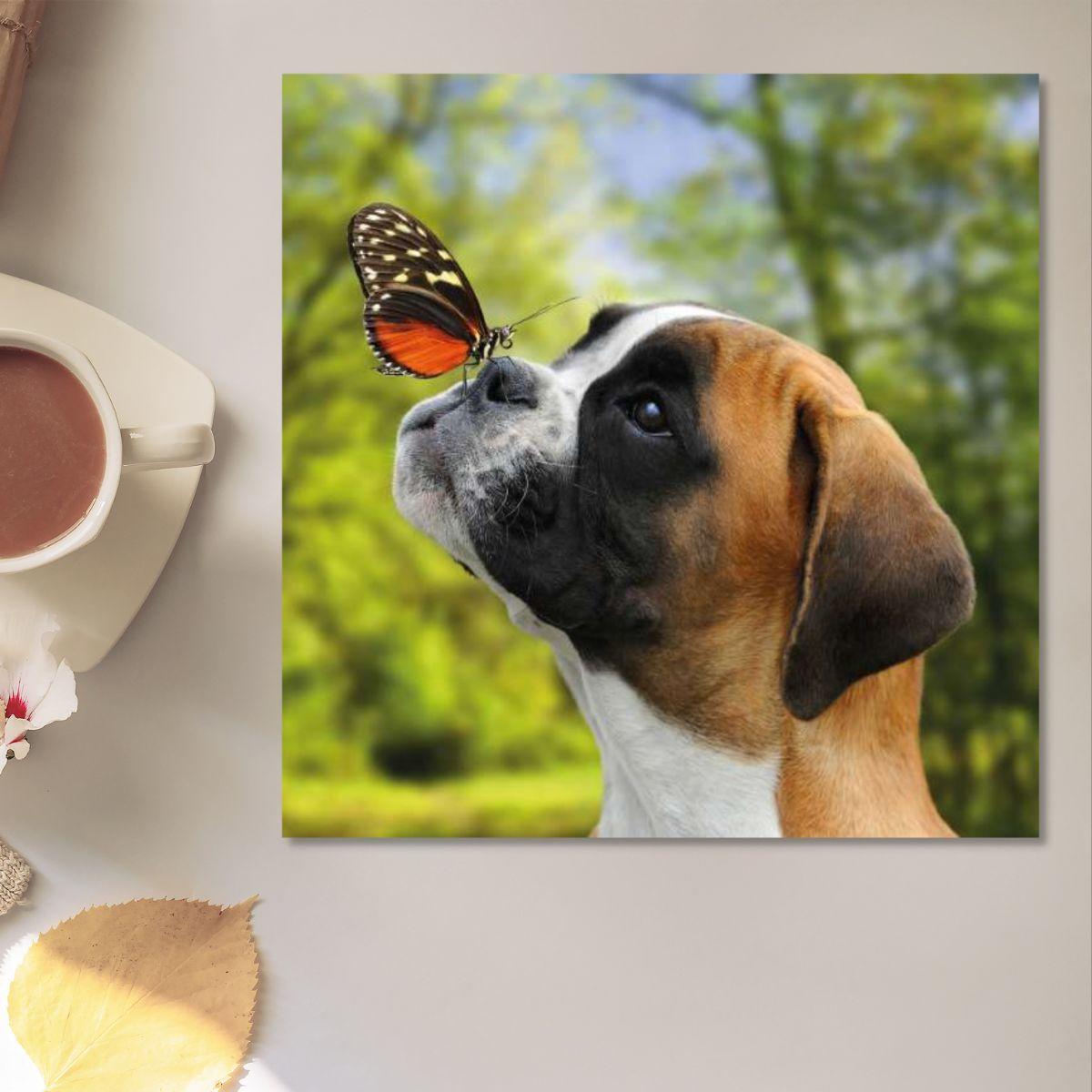 Cube - The Boxer & The Butterfly Blank Card Front Image