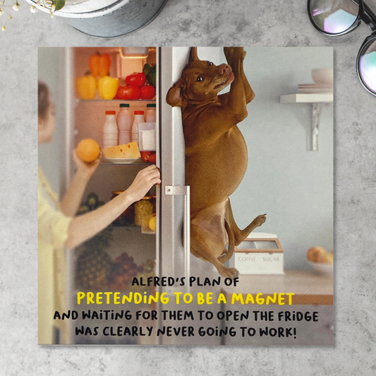 Dog Themed Birthday Card Alongside Its White Envelope