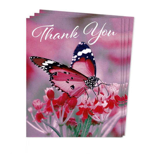 Pack Of 4 Thank You Cards Featuring A Butterfly Onn Flowers Front Image