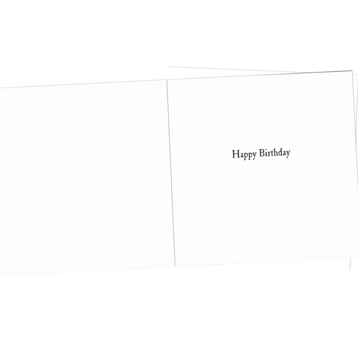 Inside Image Showing Layout And Printed Insert