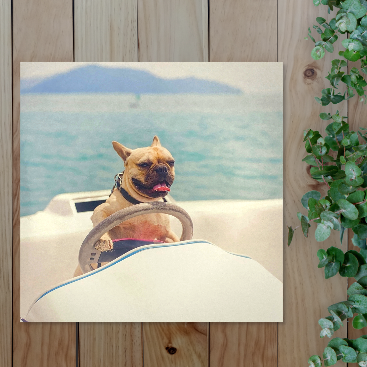 Cube - Need For Speed Blank Card Front Image