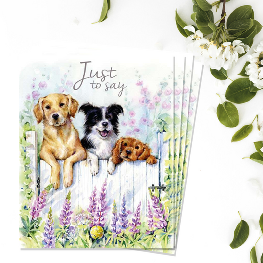Notecards - Ready To Play Dogs - Pack of 4 Front Image