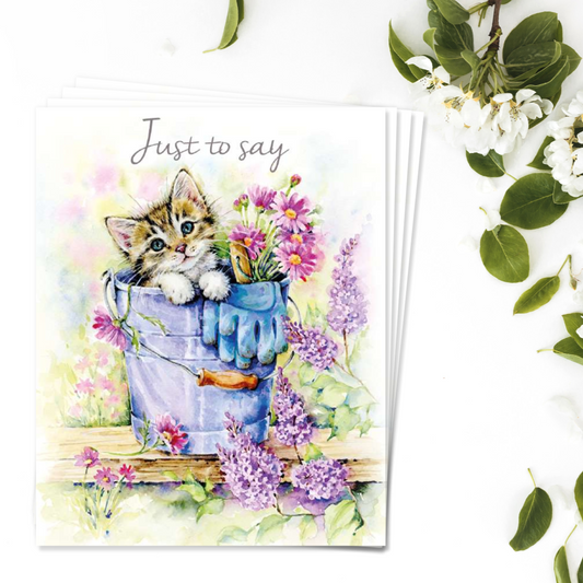 Notecards - Kitten In A Bucket - Pack of 4 - Just To Say Front Image
