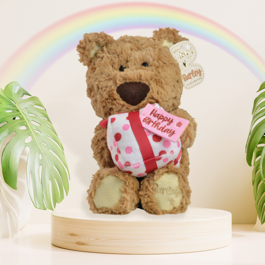 Barley Bear Plush Holding A Present Displayed In Full