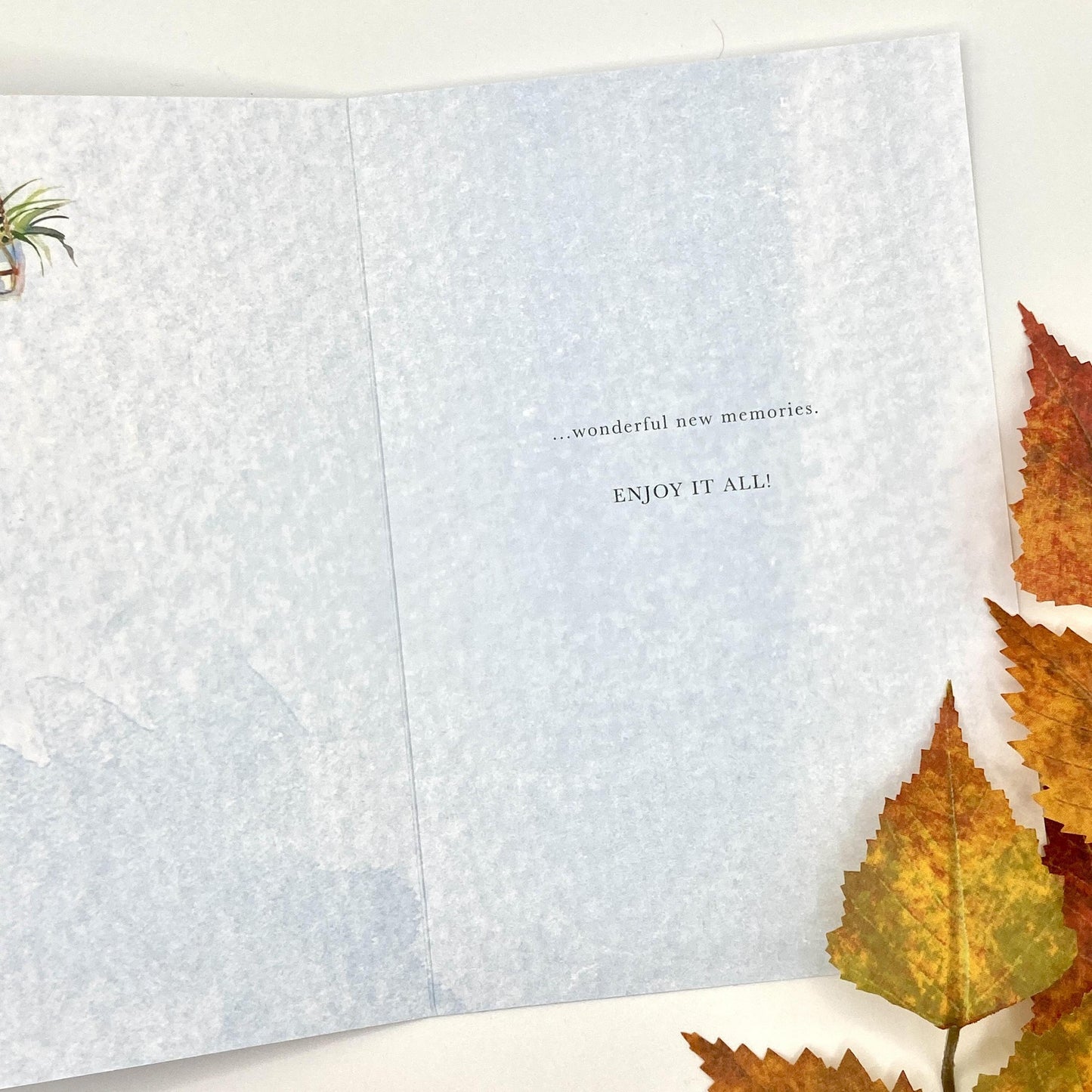 Inside with colour print and greeting