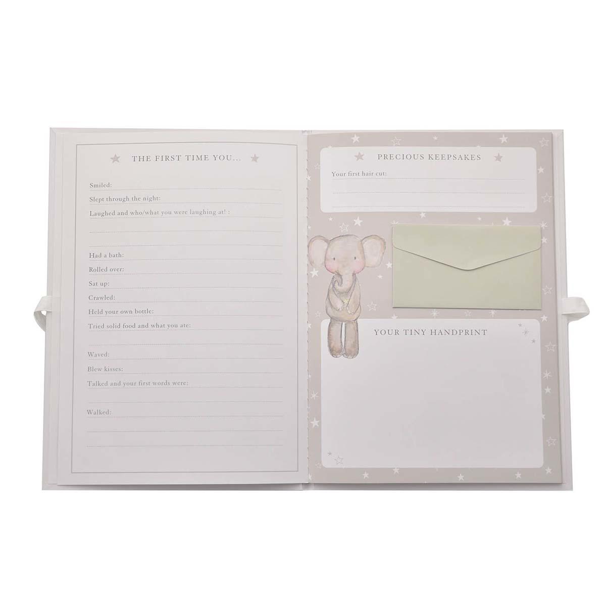 Baby Record Book Picture 3