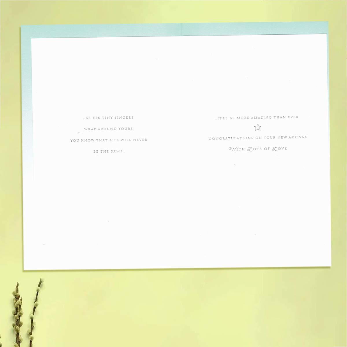 Inside Image Showing Layout And Printed Insert