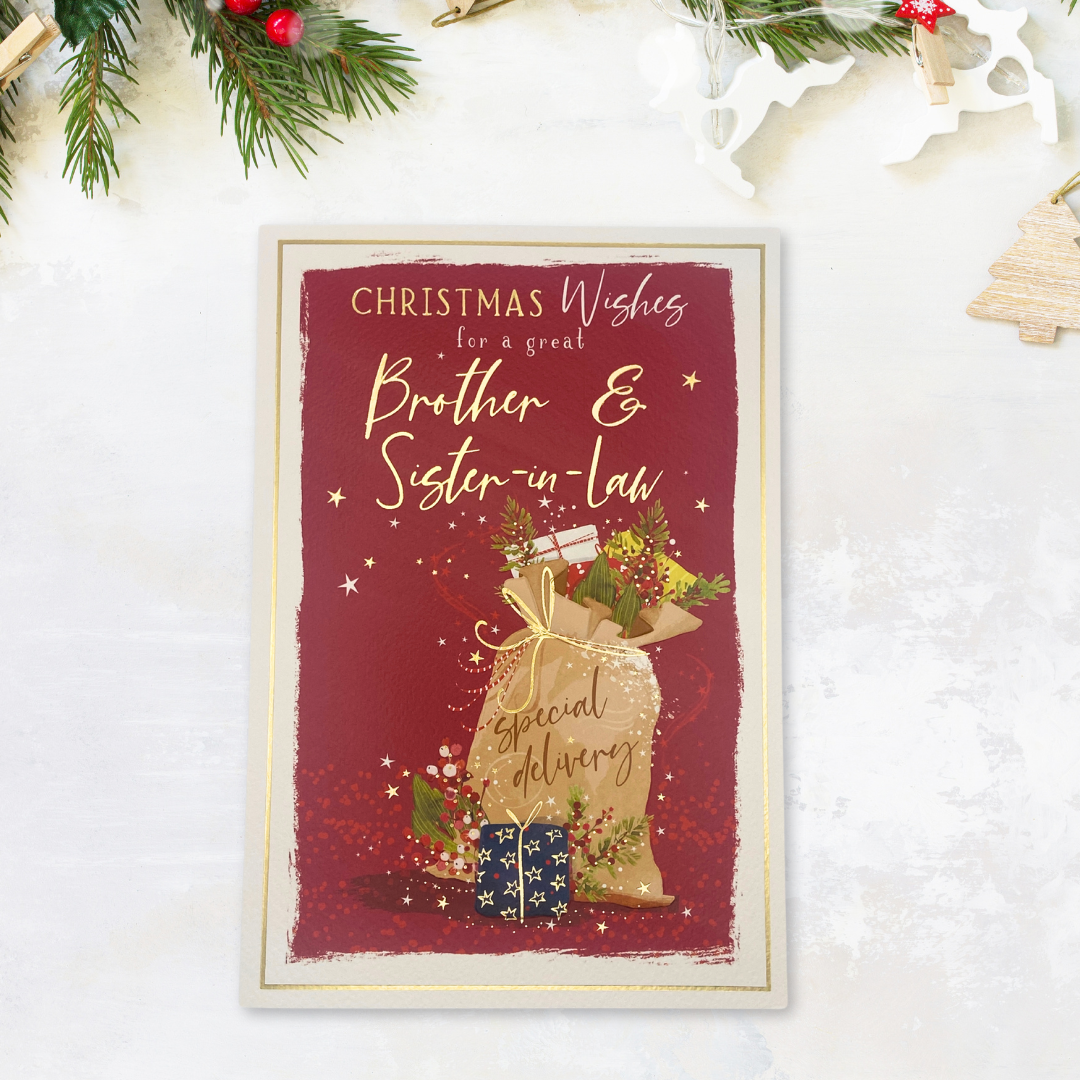 Brother & Sister-In-Law Christmas Card - Skylight Special Delivery