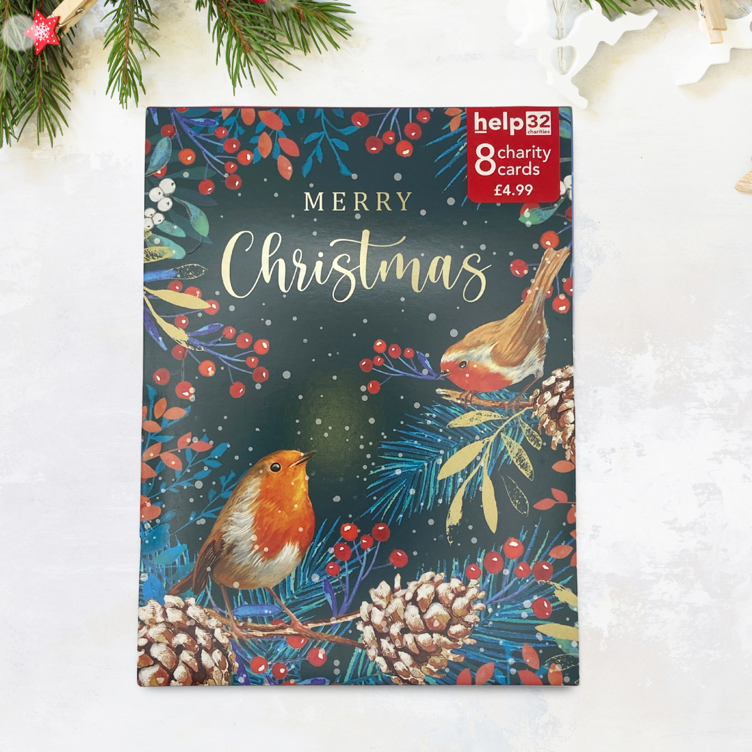 Christmas Charity Cards - 8 x Robins & Pine Cones