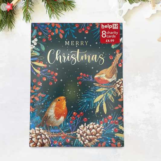 Christmas Charity Cards - 8 x Robins & Pine Cones