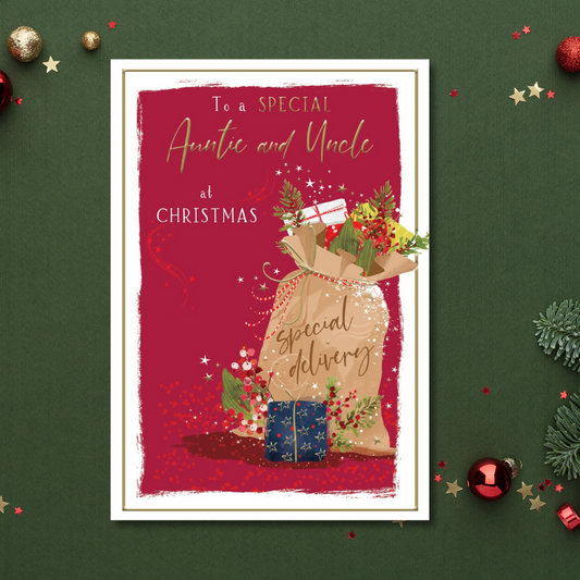 Auntie & Uncle Christmas Card - Skylight Special Delivery