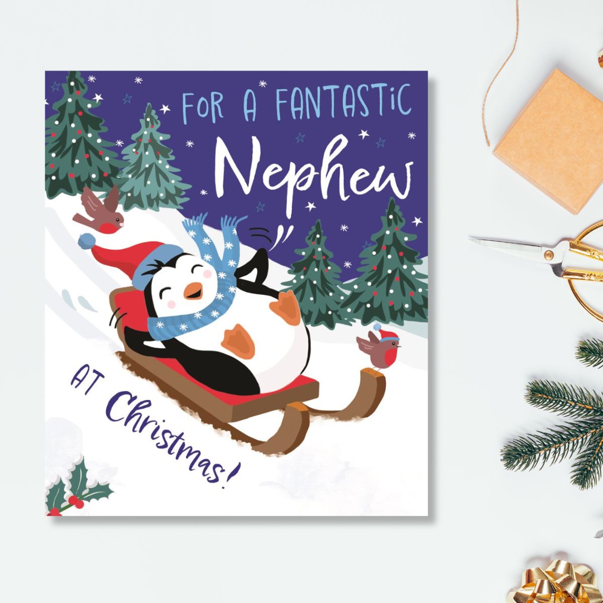 Nephew Christmas Card  - Sleigh Penguin