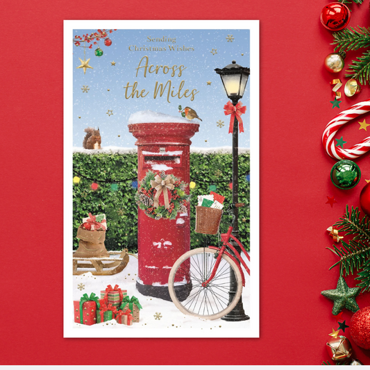 Across The Miles Christmas Card - Essence Postbox & Robin