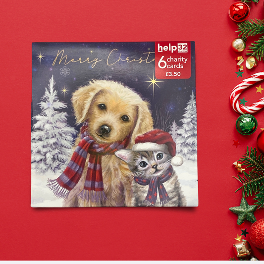 Charity Christmas Cards - 6 x Puppy & Kitten In Snow