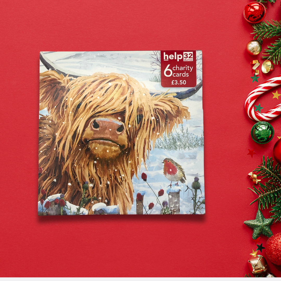 Charity Christmas Cards - 6 x Highland Cow & Robin