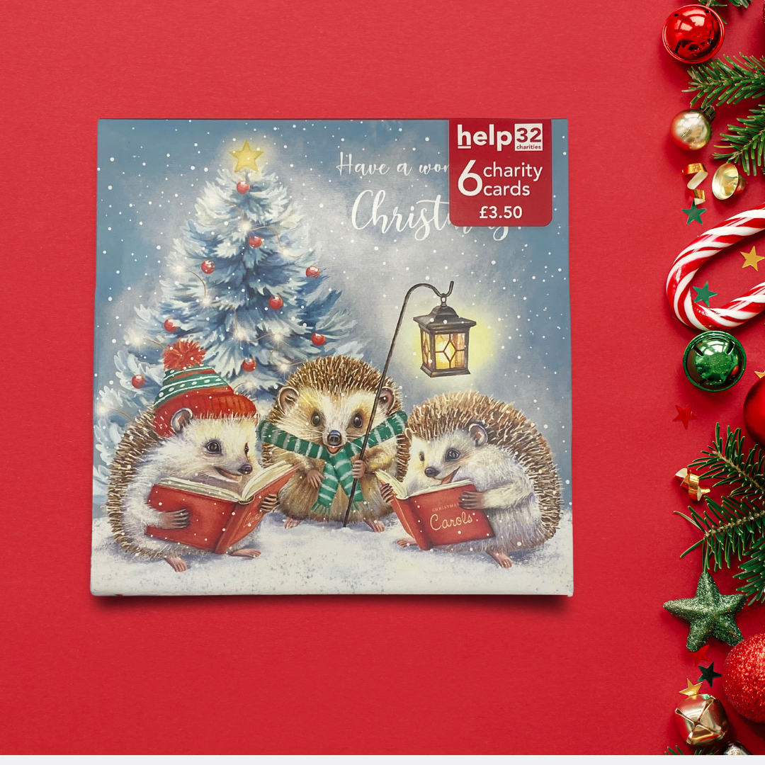 Charity Christmas Cards - 6 x Hedgehogs Singing Carols