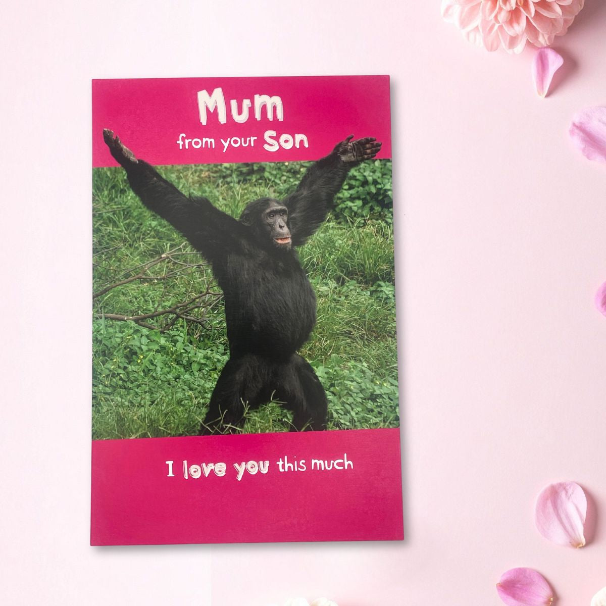 Mum From Son Mother's Day Card - Say Cheese