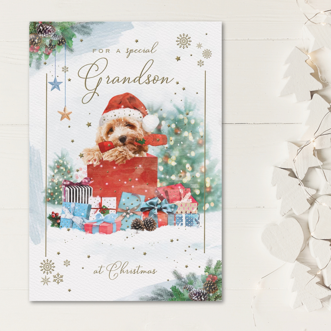 Grandson Christmas Card - Brighstone Puppy & Gifts