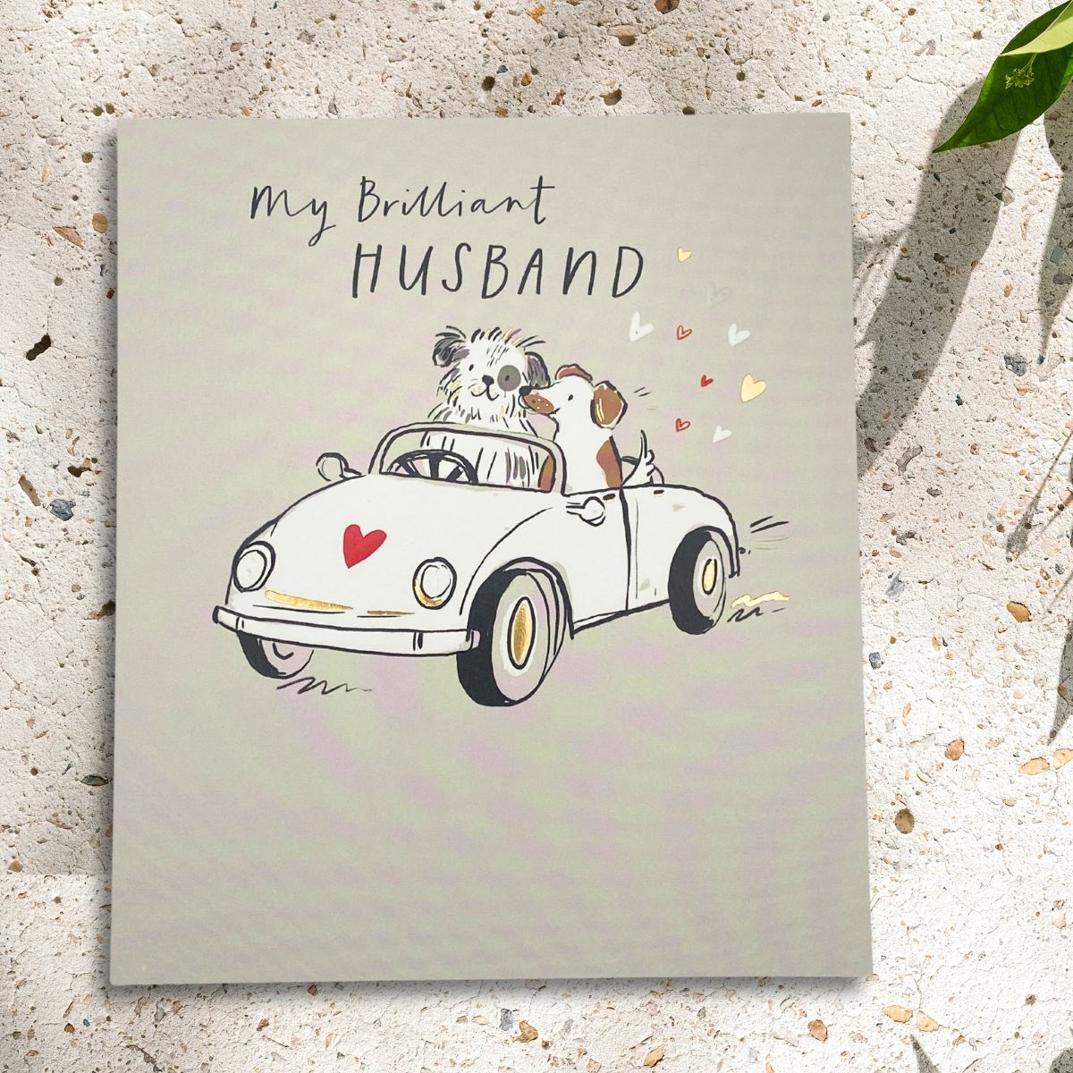 Husband Birthday Card - Driving Dogs Illustration