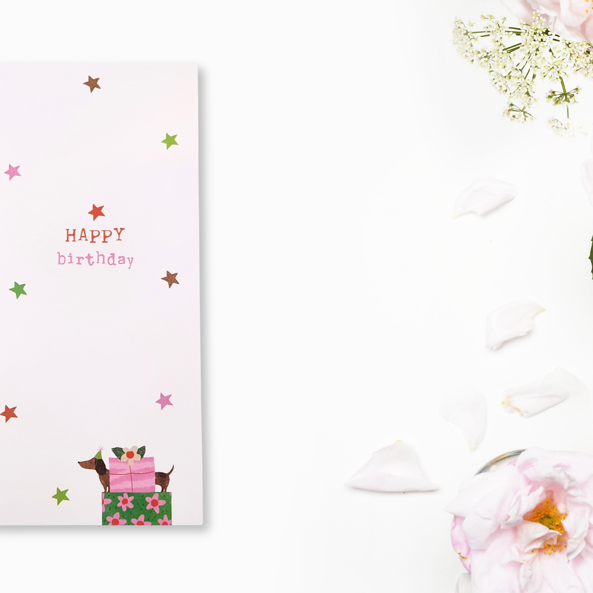 Money Wallet - Sausage Dogs & Gifts
