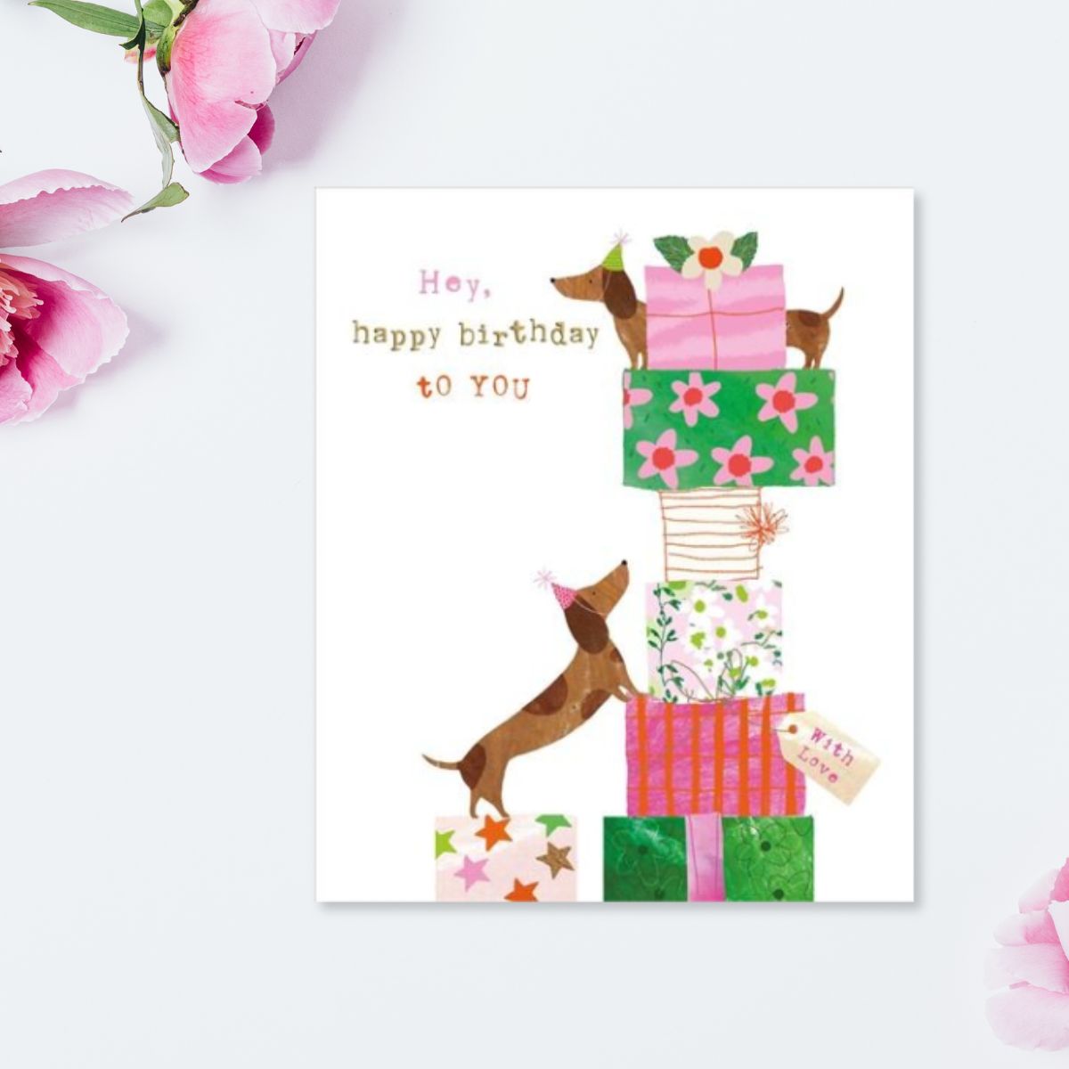 Fluff Birthday Card - Sausage Dogs