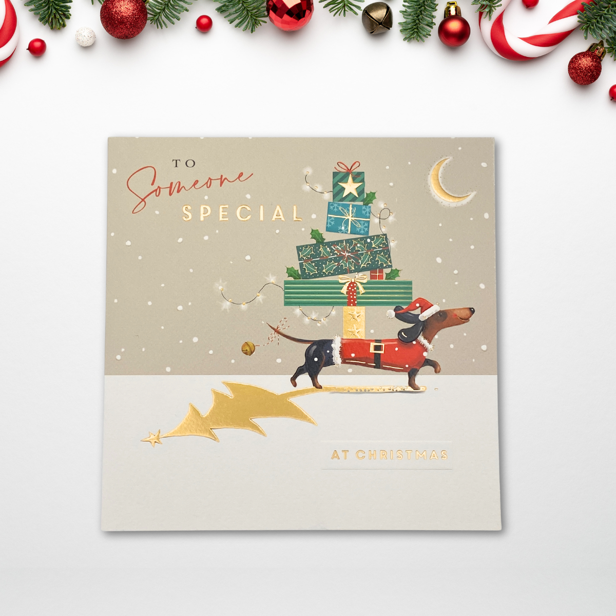 Someone Special Christmas Card - Special Delivery