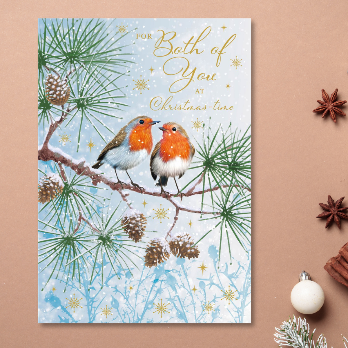 Both Of You Christmas Card - Festive Robins
