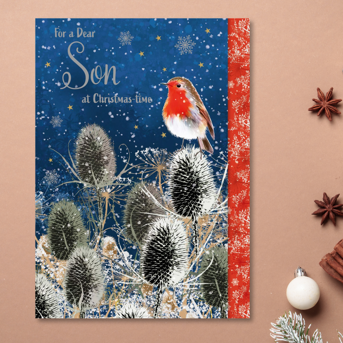 Son Christmas Card - Robin In The Snow