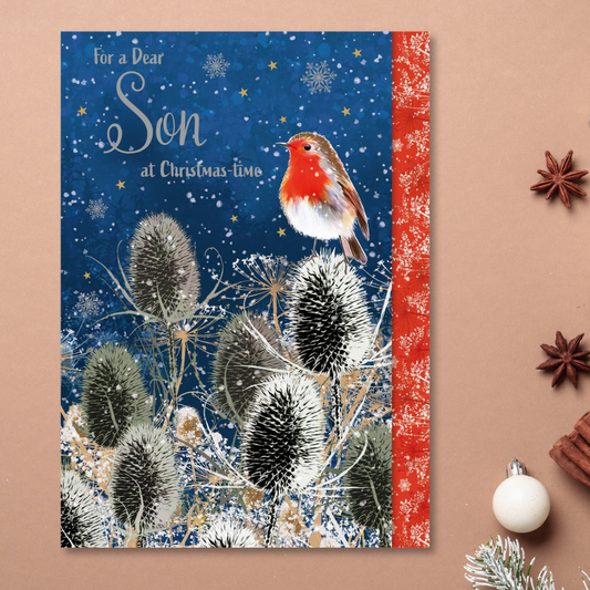 Son Christmas Card - Robin In The Snow