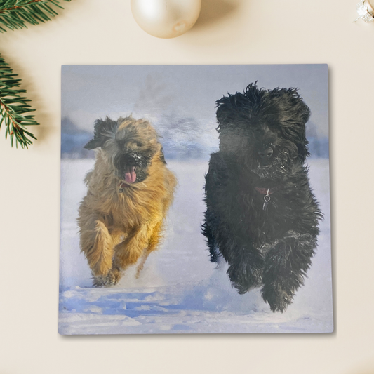 Open Photographic Christmas Card - RSPCA Briard Dogs Running In Snow