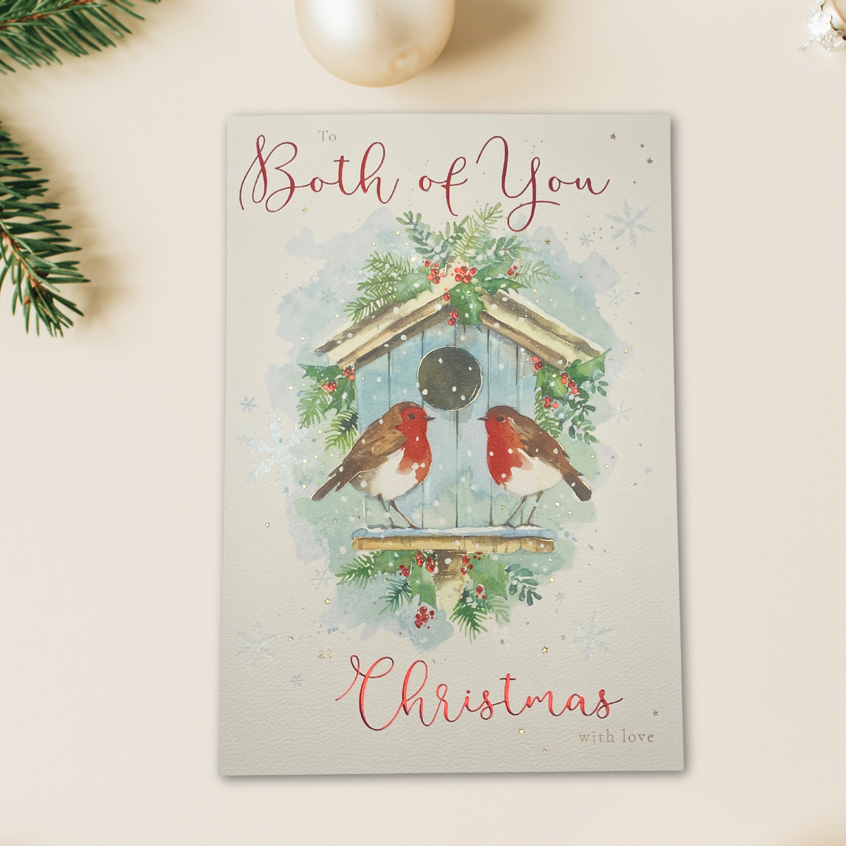 Both Of You Christmas Card - Robins & Birdhouse