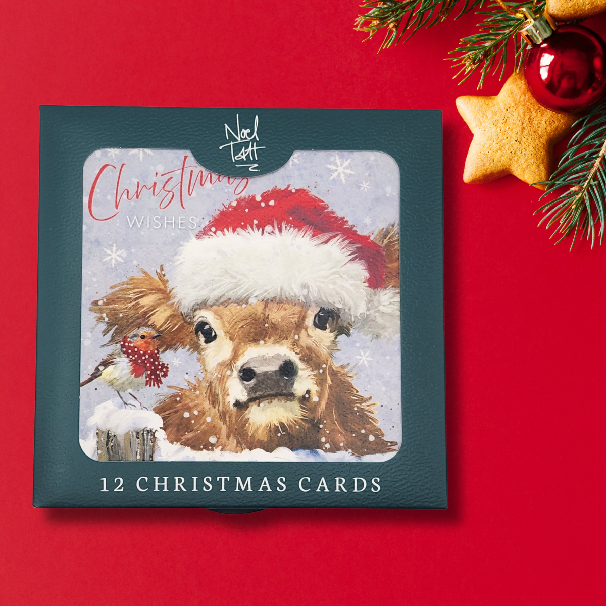 12 x Christmas Cards In Box - Highland Cow & Robin