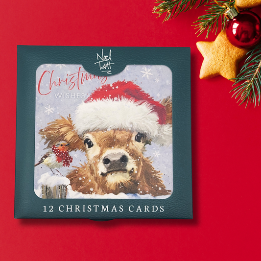 12 x Christmas Cards In Box - Highland Cow & Robin