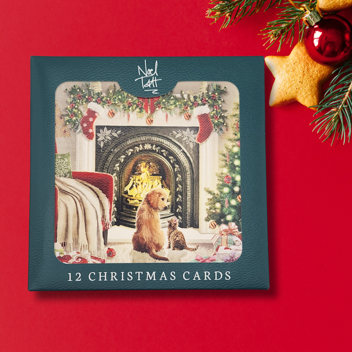 12 x Christmas Cards In Box - Puppy & Kitten By Fireplace