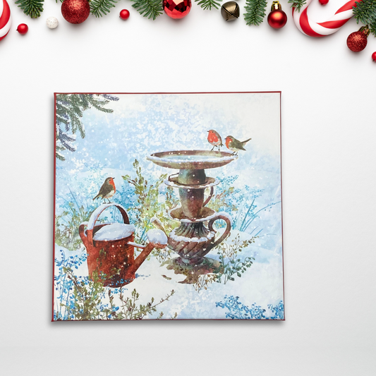 10 x Christmas Cards In Box - Robins & Bird Bath