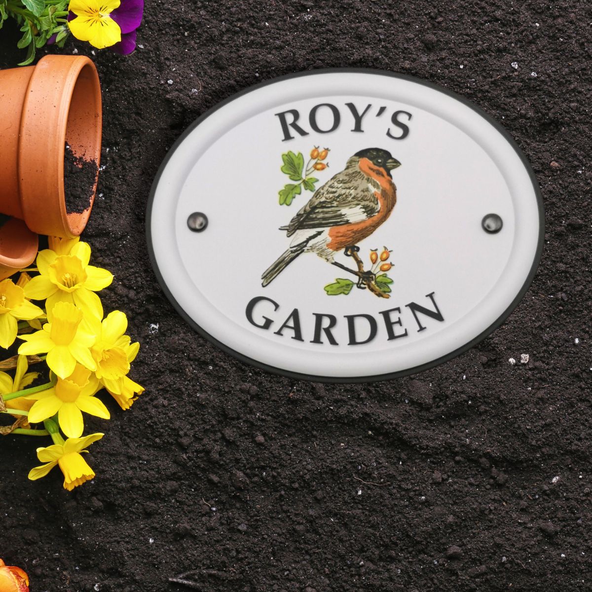 British Birds Decorative Garden Sign - Roy