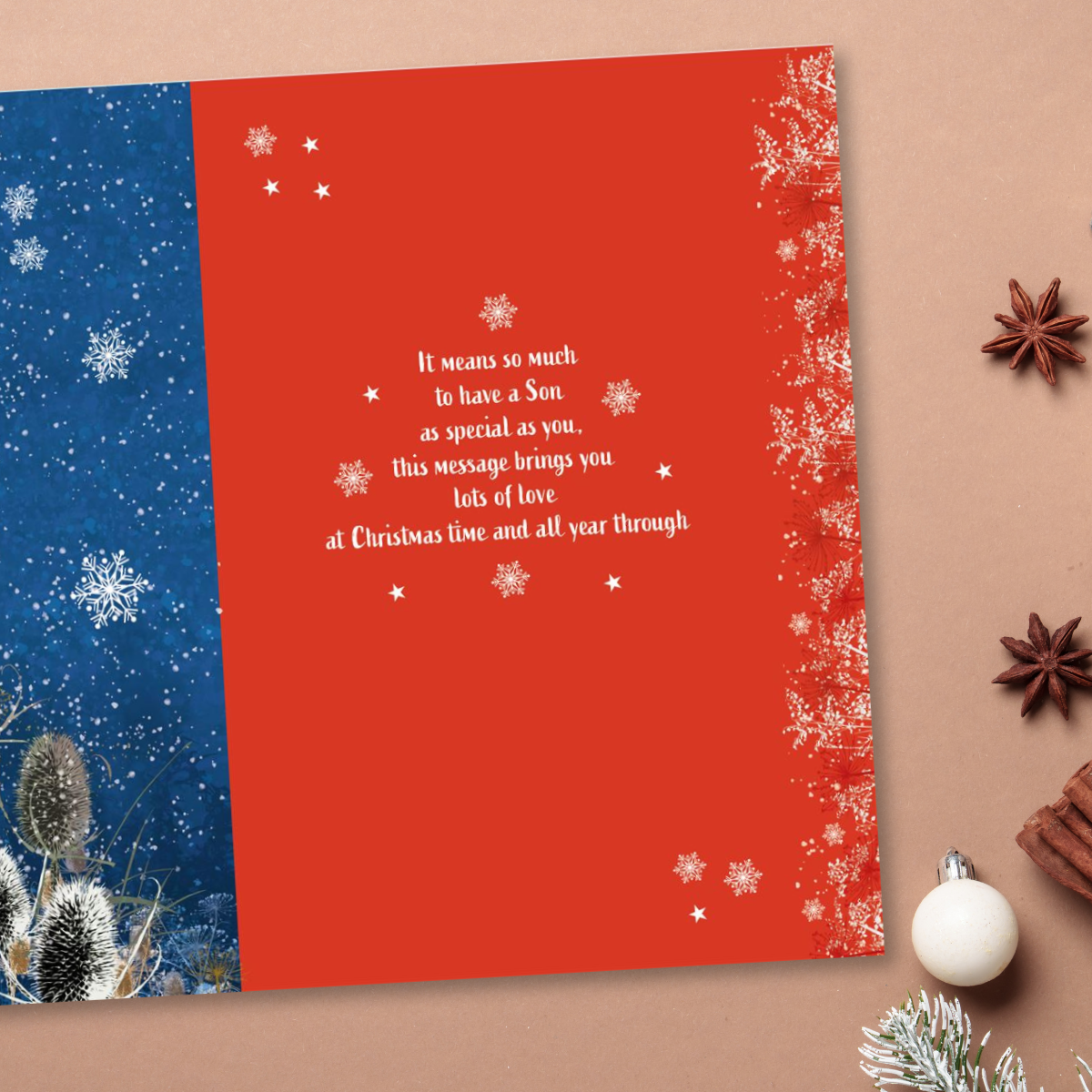Son Christmas Card - Robin In The Snow