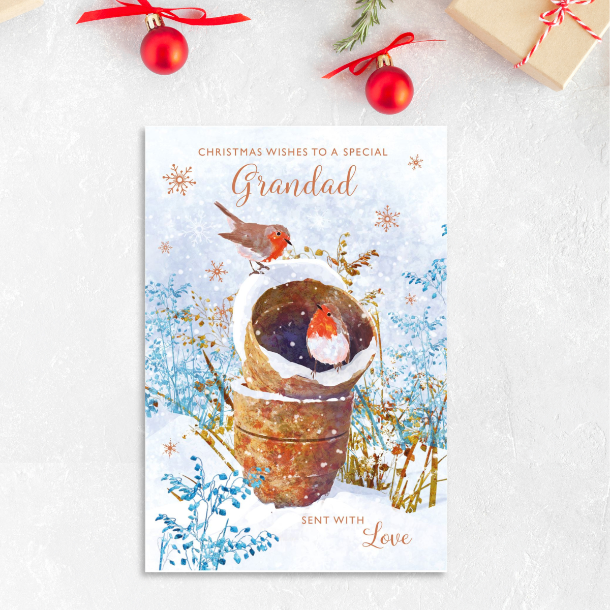 Grandad Christmas Card - Plant Pots & Robins