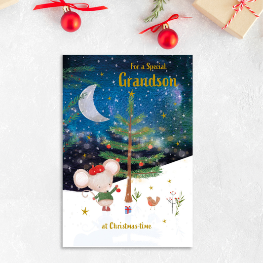 Grandson Christmas Card - Mouse & Robin