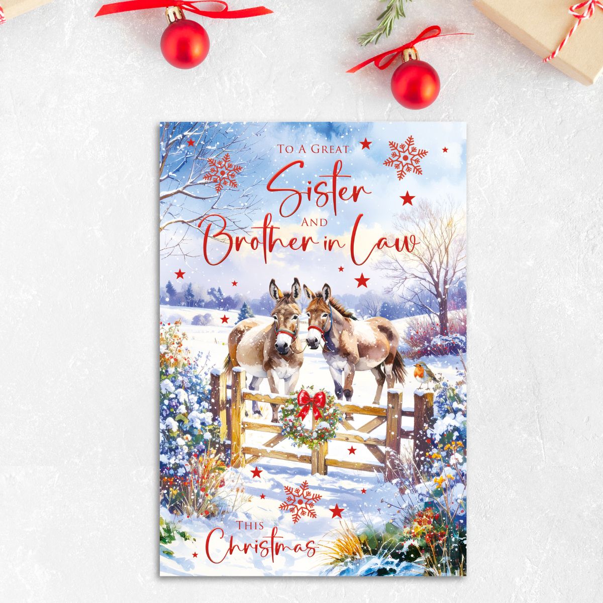 Sister & Brother-In-Law Christmas Card - Snowy Donkeys