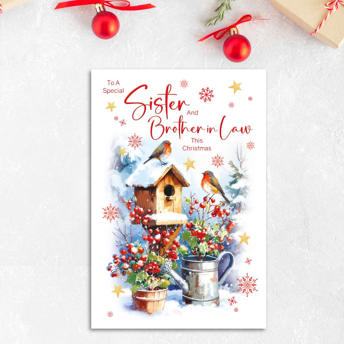 Sister & Brother-In-Law Christmas Card - Robins & Birdhouse
