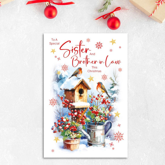 Sister & Brother-In-Law Christmas Card - Robins & Birdhouse