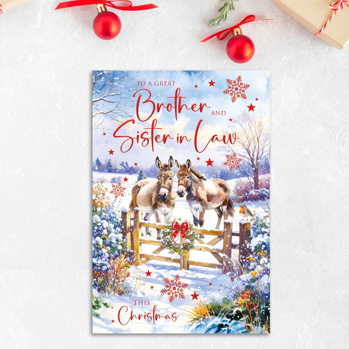 Brother & Sister-In-Law Christmas Card - Snowy Donkeys