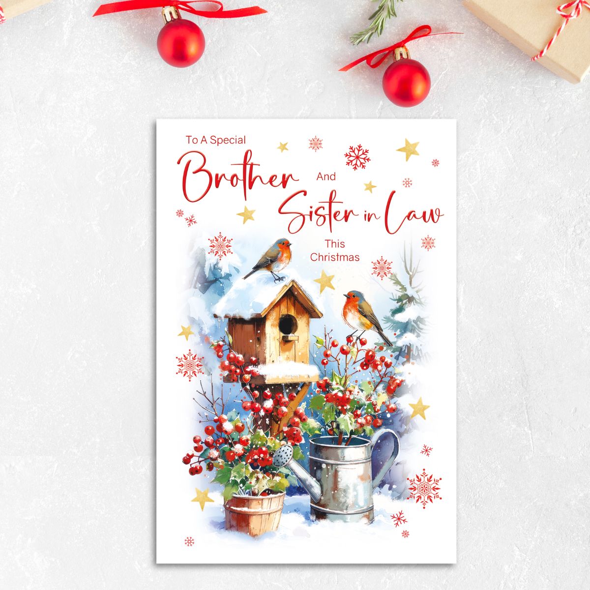 Brother & Sister-In-Law Christmas Card - Robins & Birdhouse