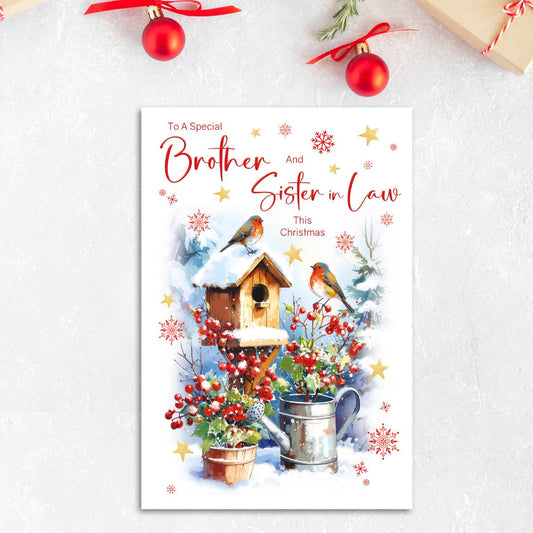 Brother & Sister-In-Law Christmas Card - Robins & Birdhouse