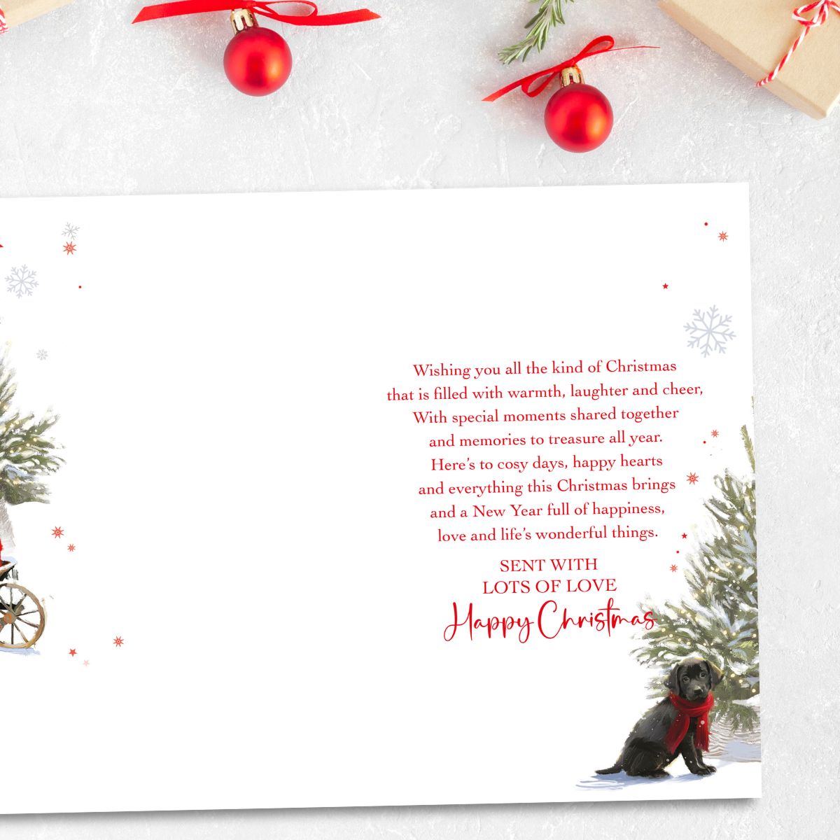 Son & Family Christmas Card - Puppy At The Door