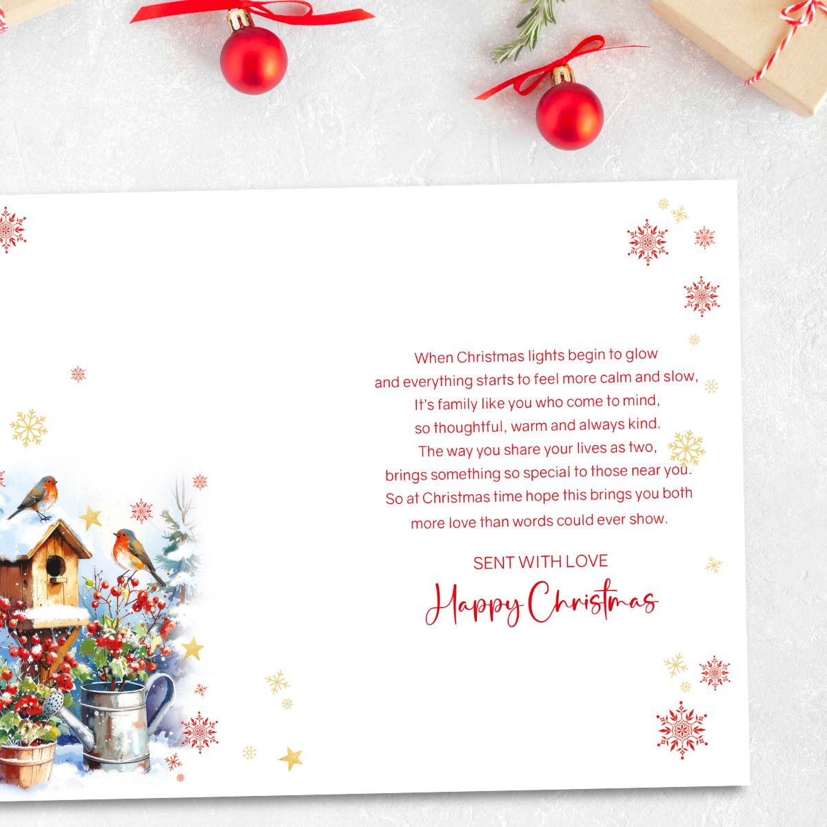 Sister & Brother-In-Law Christmas Card - Robins & Birdhouse